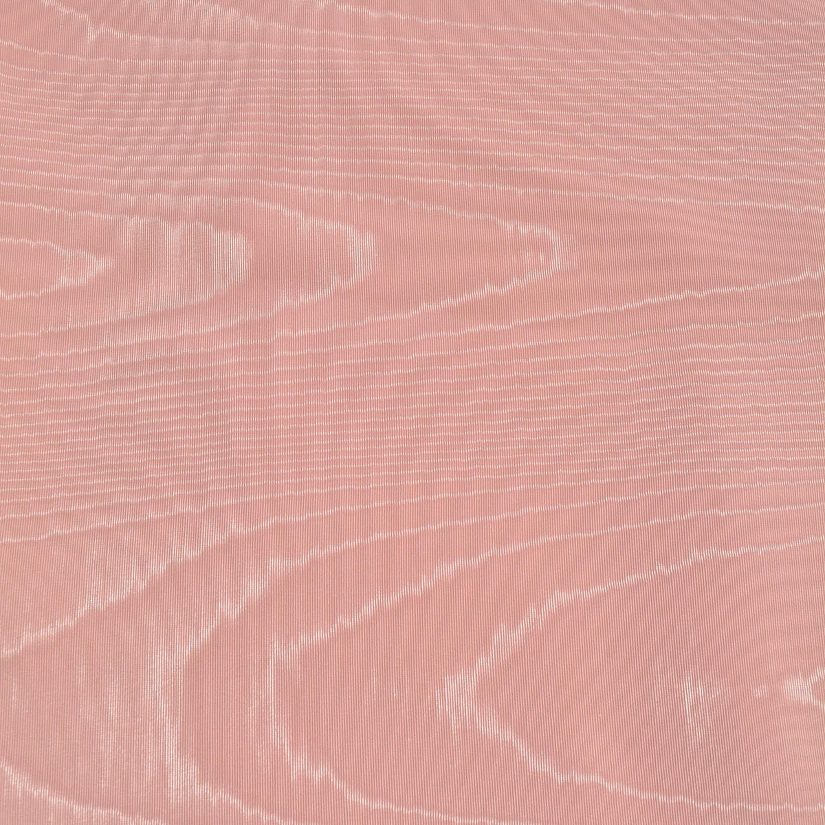 Nude Pink moiré